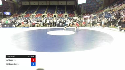 138 lbs Cons 32 #1 - Amilio Salas, Minnesota vs Blake Hostetter, Pennsylvania