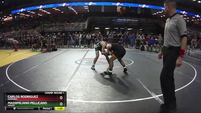 3A 132 lbs Champ. Round 1 - Massimiliano Pellicano, Venice vs Carlos Rodriguez, Harmony