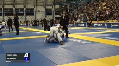 Vinicius  Garcia vs Alec Baulding IBJJF 2017 World Championships