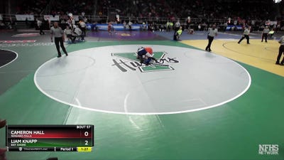 I-215 lbs Champ. Round 1 - Liam Knapp, Bay Shore vs Cameron Hall, Niagara Falls