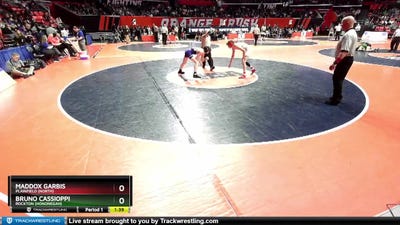 3A 113 lbs 3rd Place Match - Bruno Cassioppi, Rockton (Hononegah) vs Maddox Garbis, Plainfield (North)