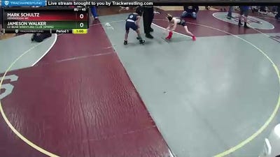 45 lbs Round 2 - Mark Schultz, Henderson WC vs Jameson Walker, LV Bear Wrestling Club (Spring