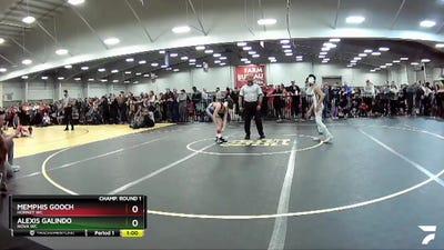 92 lbs Champ. Round 1 - Alexis Galindo, Nova WC vs Memphis Gooch, Hornet WC