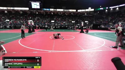 90 lbs Champ. Round 3 - Andrew Mlynarczyk, WSW1 vs Dominic Difilippo, ROGA
