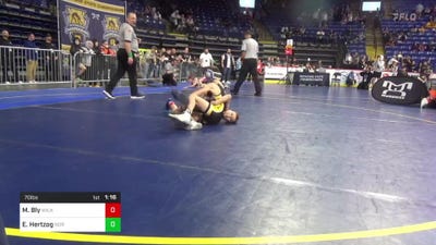 70 lbs Consy 5 - Matthew Bly, Wilkes Barre vs Easton Hertzog, Norwin