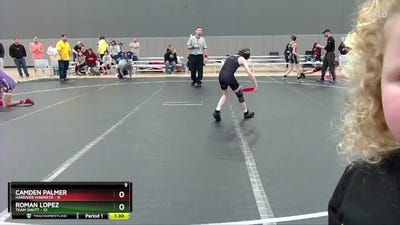 80 lbs Round 4 (10 Team) - Roman Lopez, Team Shutt vs Camden Palmer, Hanover Hawkeye
