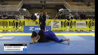 RENAN MARCEL RODRIGUES VIEIRA vs VINICIUS CARVALHO GARCIA 2022 Pan Jiu Jitsu IBJJF Championship