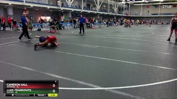 110 lbs Finals (2 Team) - Cameron Hall, Rampage vs Luke Frankovits, M2TCNJ