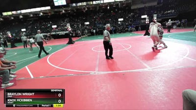 249 lbs Semifinal - Braylon Wright, DWA vs Knox McKibben, WSW1